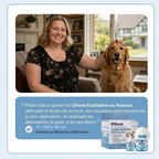 PILORE Kit diffuseur apaisant pour chiens