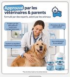 PILORE Kit diffuseur apaisant pour chiens
