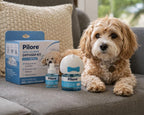 PILORE Kit diffuseur apaisant pour chiens