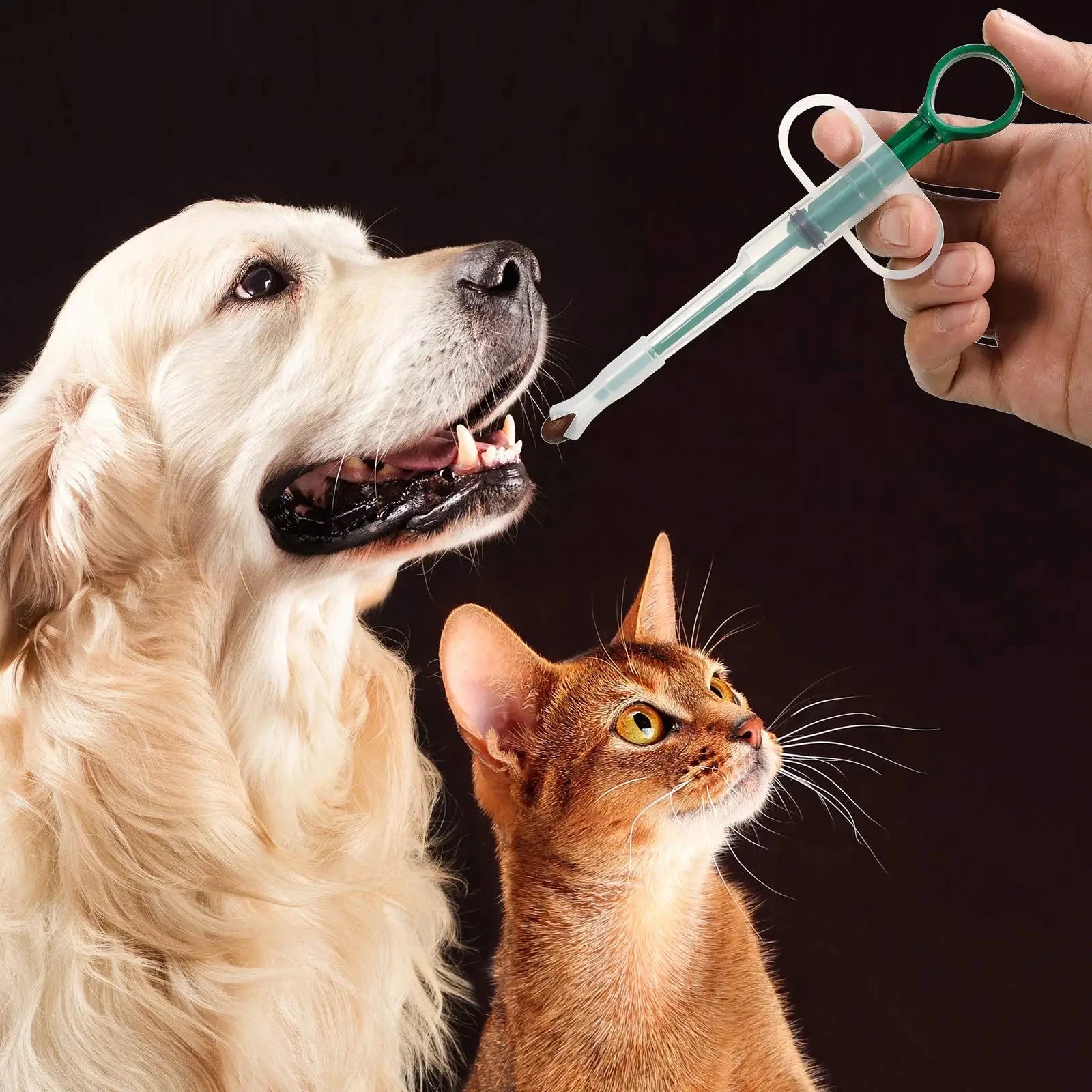 Pilore™ Pet Medication Dispenser