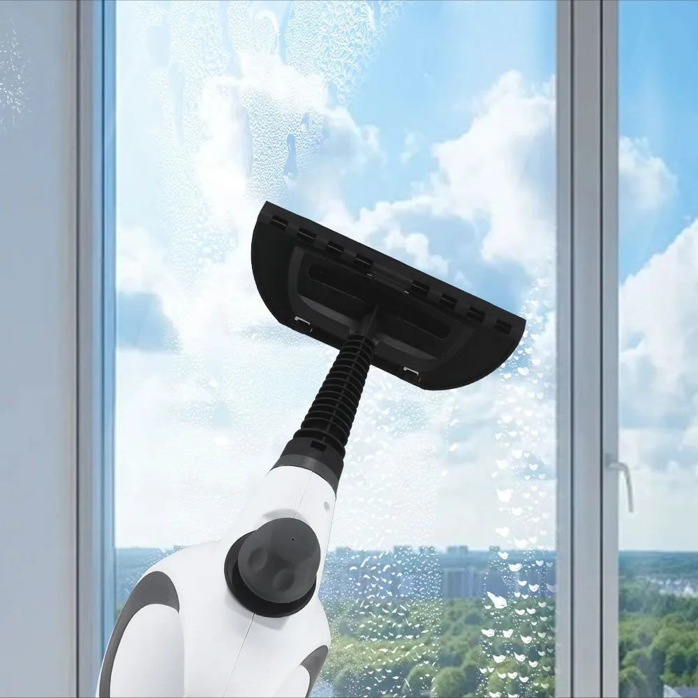 Steam Cleaner